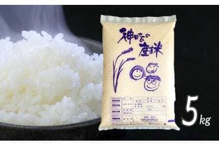 [令和6年度産新米]「わくわく農場」の五泉産コシヒカリ 精米 5kg(5kg×1袋) [10月中旬以降順次発送]わくわく農場