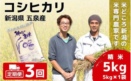 [令和6年産新米][3回定期便]「わくわく農場」の五泉産 精米 コシヒカリ 5kg(5kg×1袋)[2024年10月中旬以降順次発送] わくわく農場