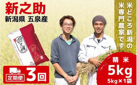 [令和6年産新米][3回定期便]「わくわく農場」の五泉産 精米 新之助 5kg(5kg×1袋)[2024年10月下旬以降順次発送] わくわく農場