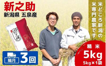 [令和6年産新米][隔月3回定期便]「わくわく農場」の五泉産 精米 新之助 5kg(5kg×1袋)[2024年10月下旬以降順次発送] わくわく農場