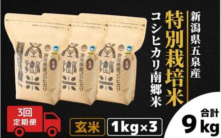 [令和6年産新米][3回定期便]特別栽培米コシヒカリ「南郷米」玄米3kg(1kg×3袋)[2024年9月中旬以降順次発送] 有限会社ファームみなみの郷