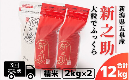 [令和6年産新米][3回定期便]新之助 精米 4kg(2kg×2袋)[2024年10月上旬以降順次発送] 有限会社ファームみなみの郷