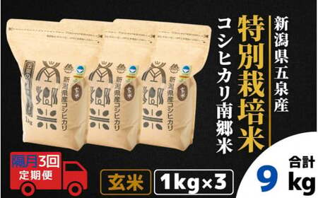 [令和6年産新米][隔月3回定期便]特別栽培米コシヒカリ「南郷米」玄米3kg(1kg×3袋)[2024年9月中旬以降順次発送] 有限会社ファームみなみの郷