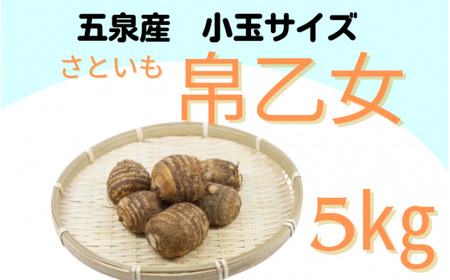 さといも(帛乙女)小玉サイズ・5kg [10月中旬以降順次発送]五泉園芸組織連絡協議会