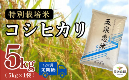 【令和6年度産新米】〈12回定期便〉特別栽培米コシヒカリ 精米 5kg(5kg×1袋) 渡辺農園