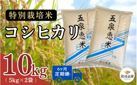 【令和6年度産新米】〈6回定期便〉特別栽培米コシヒカリ 精米 10kg(5kg×2袋) 渡辺農園