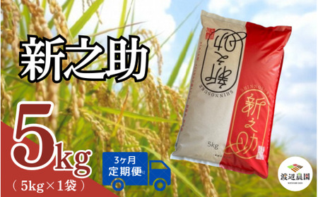 [令和6年度産新米][3回定期便]新之助 精米 5kg(5kg×1袋) 渡辺農園