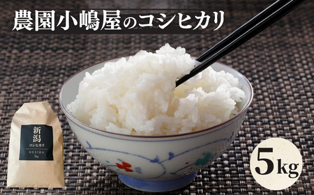 [先行予約] 令和7年産新米 農園小嶋屋の五泉産コシヒカリ 5kg [2025年10月下旬以降順次発送]コシヒカリ 新潟県コシヒカリ 特コシヒカリ 精米 コシヒカリ