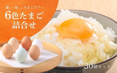 キムラファームの産みたて卵 6色たまご詰合せ 30個 産みたてたまご たまご 卵 玉子 タマゴ 鶏卵 オムレツ 卵かけご飯 たまご焼き 新潟県 五泉市 先行予約(2025年9月以降順次発送)