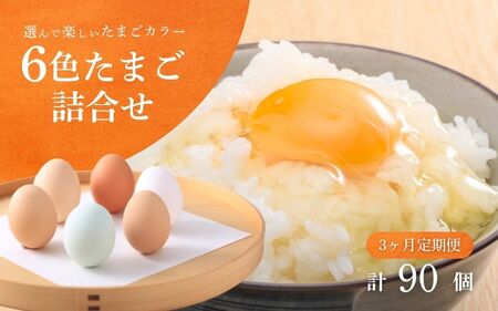 [3回定期便]キムラファームの産みたて卵 6色たまご詰合せ 30個 産みたてたまご たまご 卵 玉子 タマゴ 鶏卵 オムレツ 卵かけご飯 たまご焼き 新潟県 五泉市 先行予約(2025年9月以降順次発送)