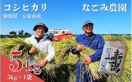 [令和7年産米] なごみ農園のコシヒカリ 5kg (5kg×1袋) 白綬有功章受章 新潟 | 白米 精米 こしひかり お米 おこめ コメ こめ 新潟県 五泉市 なごみ農園