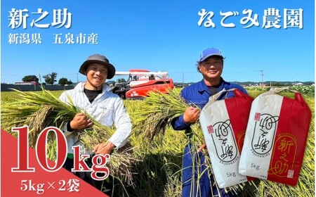 [令和7年産米] なごみ農園の新之助 10kg (5kg×2袋) 新潟県 五泉市 なごみ農園