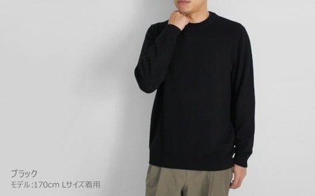カシミヤニット クルーネック セーター ( ブラック・LL ) メンズ