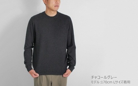 カシミヤニット クルーネック セーター ( チャコールグレー・L ) メンズ