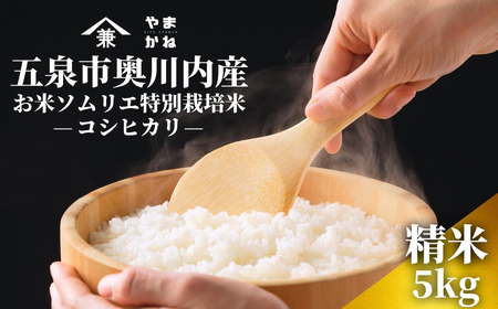 [先行予約]令和8年産 五泉市産 特別栽培米 コシヒカリ 5kg(5kg×1袋)