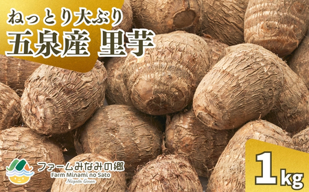 [令和8年産先行予約]五泉産 大玉さといも(2L以上)1kg | 新潟県 さといも 里芋