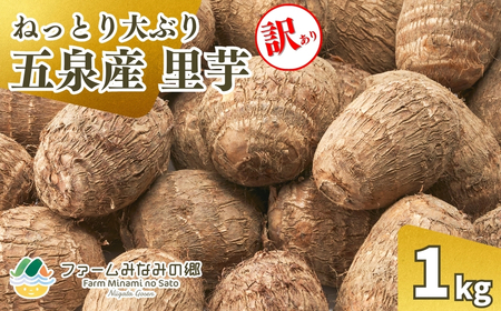 [令和8年産先行予約]五泉産[訳アリ]大玉さといも(2L以上)1kg | 新潟県 里芋