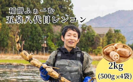 [先行予約品]五泉五泉八代目レンコン 2kg(500g×4袋)