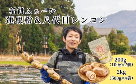 [先行予約品]蓮根粉 200g(100g×2個)& 五泉八代目レンコン 2kg(500g×4袋) 稲餅ふぁーむ