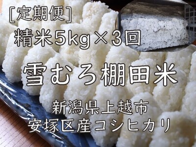 定期便 3ヶ月 雪むろ 棚田米 コシヒカリ 5kg 精白米 [定期便]毎月発送(計3回) こしひかり 米 お米 こめ おすすめ ユキノハコ 新潟 新潟県産 にいがた 上越 上越産