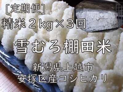 定期便 3ヶ月 雪むろ 棚田米 コシヒカリ 2kg 精白米 [定期便]毎月発送(計3回) こしひかり 米 お米 こめ おすすめ ユキノハコ 新潟 新潟県産 にいがた 上越 上越産