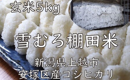 米 雪むろ 棚田米 コシヒカリ 5kg 玄米 こしひかり お米 こめ おすすめ ふるさと納税 ユキノハコ 新潟 新潟県産 にいがた 上越 上越産