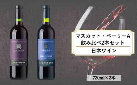 ワイン 岩の原ワイン マスカット・ベーリーA 飲み比べ2本セット(赤×2本 各720ml) 酒 ギフト 新潟 上越