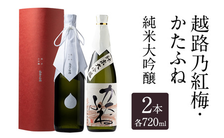 日本酒 越路乃紅梅 かたふね 純米大吟醸 720ml 2本 セット お酒 おすすめ 酒 ふるさと納税 新潟 新潟県産 にいがた 上越 上越産