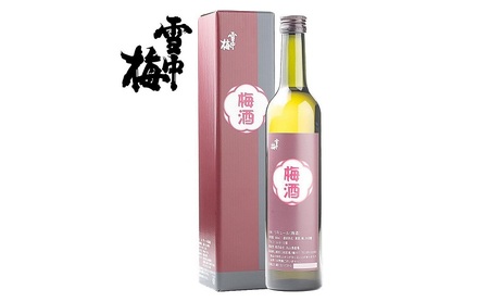 雪中梅 梅酒 500ml 化粧箱入|酒 お酒 贈答 プレゼント 贈り物 おすすめ ふるさと納税 人気 新潟 新潟県産 にいがた 上越 上越産