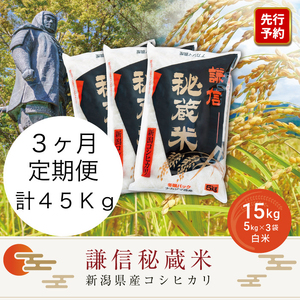 ys\b10{菇oׁz3Ai15kg×3񕪁j15kg  VY RVqJ   M鑠     R   Ђ V ɂ V