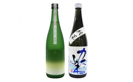 新潟純米酒 720ml 2本セット 越路乃紅梅・かたふね 日本酒 お酒 飲み比べ 越路乃紅梅 かたふね ふるさと納税 人気 新潟 新潟県産 にいがた 上越 上越産