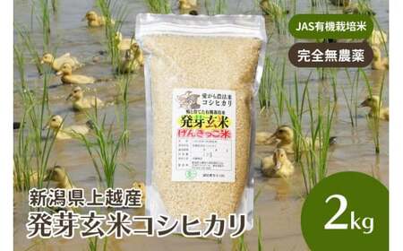 米 お米 令和6年・新潟県産 JAS有機栽培アイガモ農法 コシヒカリ 発芽玄米 2kg こしひかり こめ 新潟 上越