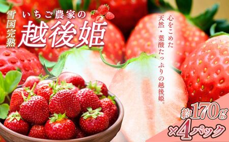  ፑnzP 170g×4P  C`S t[c n z V