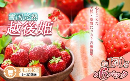  3y1`3zፑnzP 170g×6S3 z zP   n  V