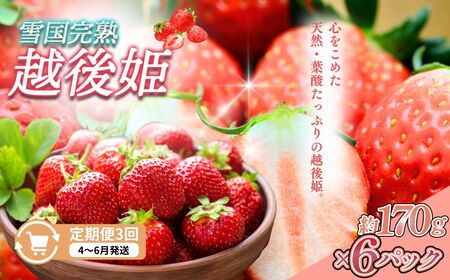  3y4`6zፑnzP 170g×6S3 z zP   n  V