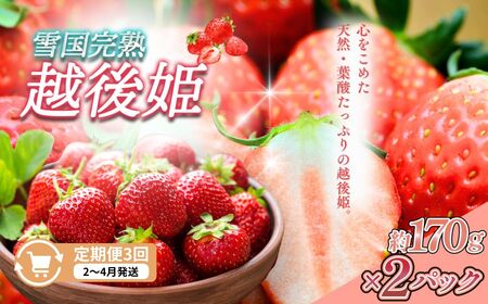  3y2`4zፑnzP 170g×2S3 z zP   n  V