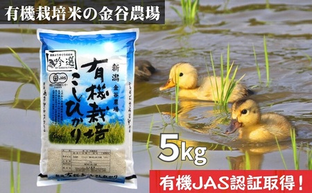 新潟県産JAS有機栽培米コシヒカリ 玄米5kg|こしひかり コシヒカリ 米 お米 こめ おすすめ 人気 ふるさと納税 有機栽培 新潟 新潟県産 にいがた 上越 上越産