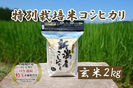 令和5年産|新潟上越三和産|特別栽培米コシヒカリ(従来種)2kg(2kg×1)玄米