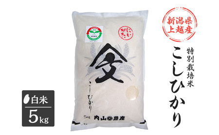 米 令和6年産 新潟県上越産「 特別栽培米 コシヒカリ 」 白米 5kg こしひかり お米 こめ おすすめ ふるさと納税 新潟 新潟県産 にいがた 上越 上越産