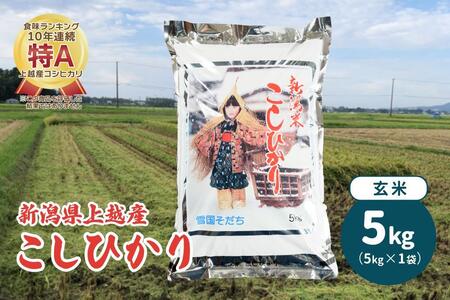 令和5年産・新潟県上越産/コシヒカリ 玄米5kg(1袋)|美味安全野菜栽培士が栽培したお米