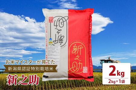 令和5年産お米マイスターが育てた新潟県認証特別栽培米「新之助」上越頸城産 2kg(2kg×1)精米|米 産地直送 農家直送 ふるさと納税 新潟 上越