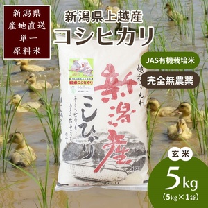 米 令和6年・新潟県産|JAS有機栽培アイガモ農法コシヒカリ100% 玄米5kg お米 玄米 こしひかり 新潟