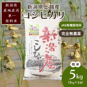 米 令和6年・新潟県産|JAS有機栽培アイガモ農法コシヒカリ100% 精米5kg お米 精米 こしひかり 新潟