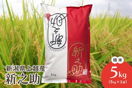 ߘa7NEVzY|VuhāuVVv 5kg