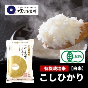 米 [令和6年産] 新潟県上越産 有機栽培米 コシヒカリ [白米] 5kg×1袋 お米 こめ 白米 食品 人気 おすすめ にいがた 上越 上越産