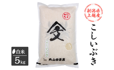 米 令和6年産 新潟県 上越産「こしいぶき」 白米 5kg お米 こめ ふるさと納税 新潟 新潟県産 にいがた 上越