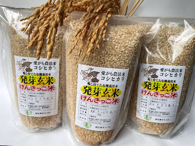 米 JAS有機発芽玄米アイガモ農法コシヒカリ(1kg×3) お米 玄米 コシヒカリ 新潟 上越