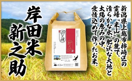 米 上越市柿崎区産 新之助 5kg お米 コメ おこめ 新潟 新潟県産 にいがた 上越 上越産