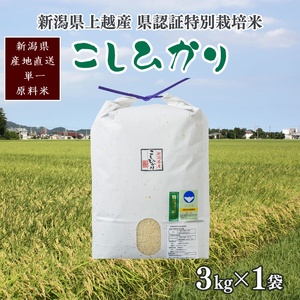 令和7年産/新潟県上越産 人気のお米「新潟県認証特別栽培米コシヒカリ」精米3kg