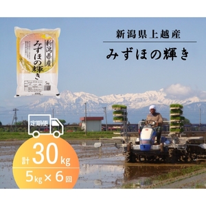 米 [先行予約]令和6年 新米 新潟上越産 みずほの輝き 定期便 [6ヶ月連続お届け]5kg×6回 30kg 新潟 新潟県 限定